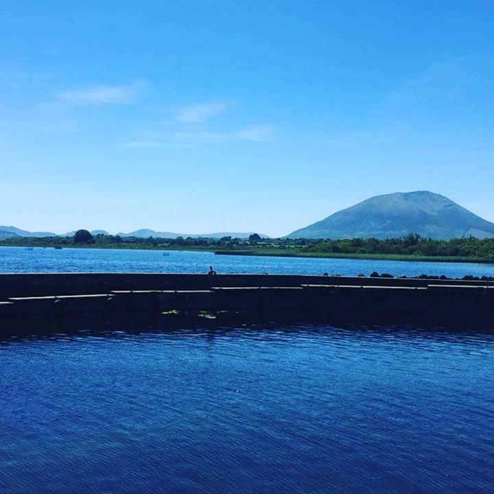Thistledown - Ballina - Crossmolina - County Mayo - Sleeps 8 - Sister Property To Inglewood المظهر الخارجي الصورة